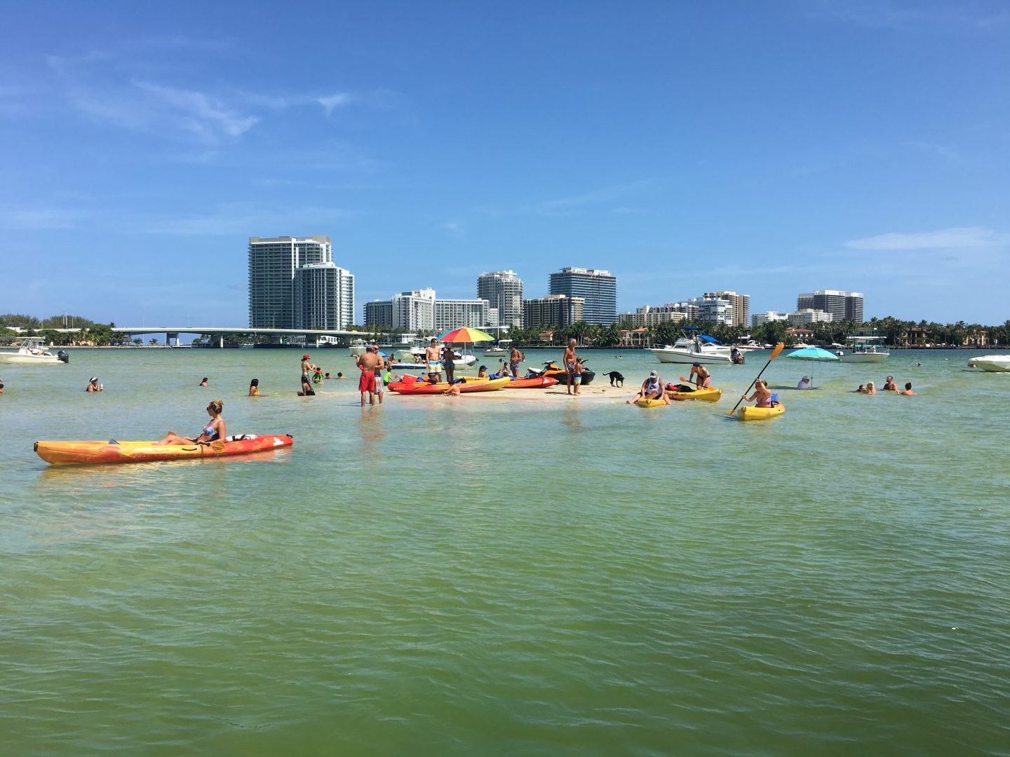 haulover boat rentals